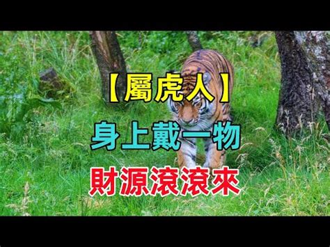 屬虎戴什麼|【屬虎戴什麼】屬虎戴什麼才旺？至尊招財吉祥物推。